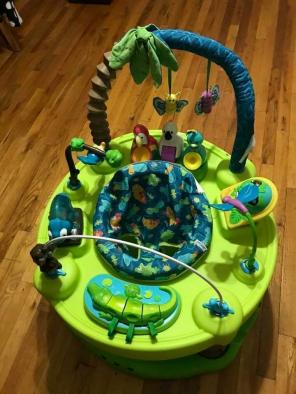 Evenflo Animal Planet Activity Saucer