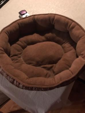 Small Cat Bed