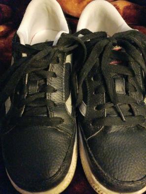 Brahma Steel Toe Shoes