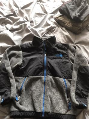 North Face Denali