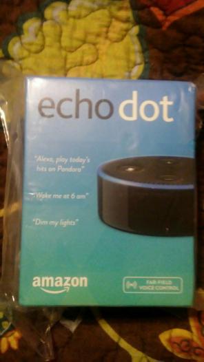 Echo Dot
