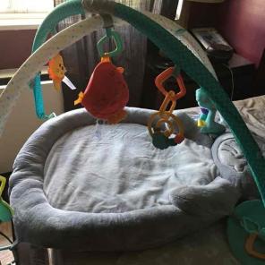 Skip Hop Activity Gym Mat