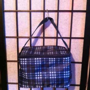 Insulated lunchbag