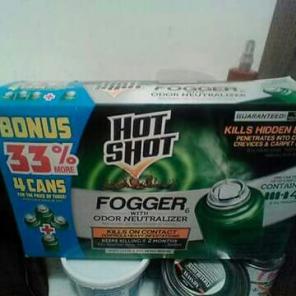 Bug Fogger