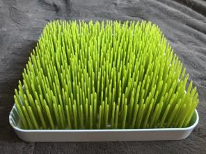 Boon Grass With Three Flower Stands