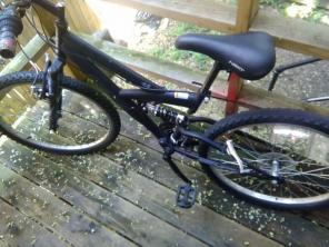 Bike with no brakes