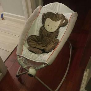 Fisher price sleeper