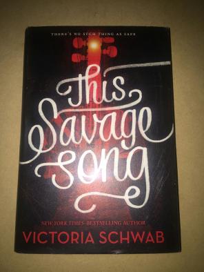 The Savage Song YA book