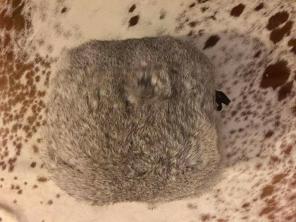 Vintage Rabbit Muff