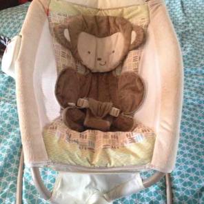 Monkey theme rock n play