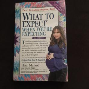 Pregnancy Book