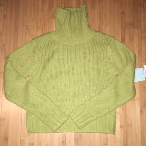 Shu Shu Turtleneck Sweater