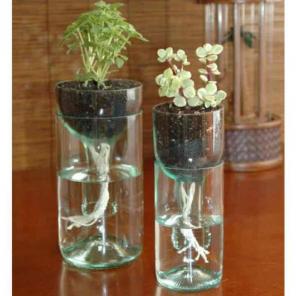 Self Watering Wine Bottle Planter