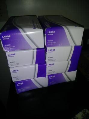 Powder free vinyl gloves (800 count)
