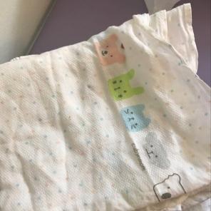 Cloth Diaper Cloth (6pcs)