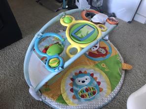 Skip hop playmat play mat