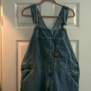 Walls Men's Overalls