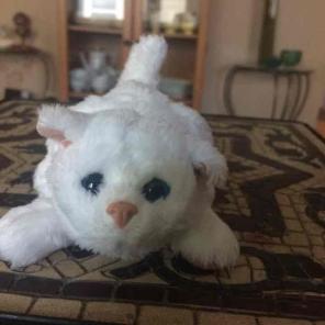 Electronic kitty ( moves tail and head)!