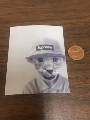 Hipster Cat Sticker