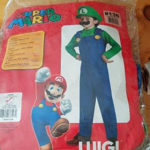 Super Mario Luigi Costume