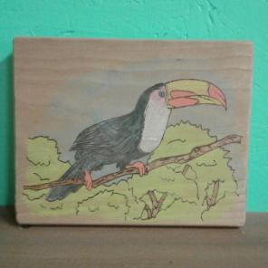 Toucan Woodburning
