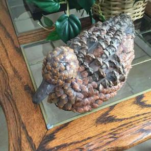 Duck figure from Pine Cones