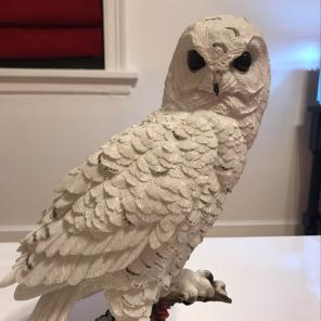 Harry Potter Owl