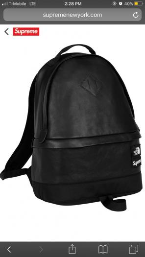 Supreme/The North Face Leather Day Pack