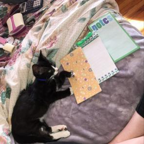 Writing Pads (3)