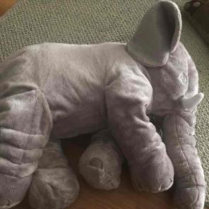 Baby cuddle elephant