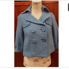 Anthropologie Swing Jacket