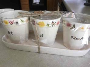 Rae Dunn Planter Set