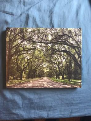 Savannah Plantation