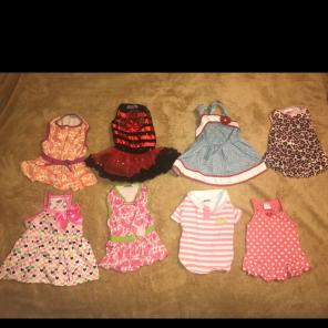Doggy Dresses/Clothes Size Small