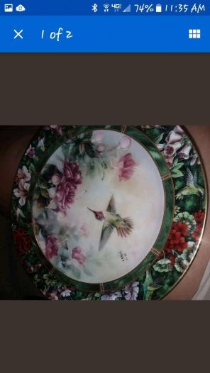 Numbered Anna hummingbird plate