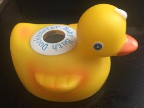 Baby Duck Bath
