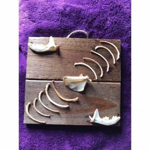 MINK BONE ART