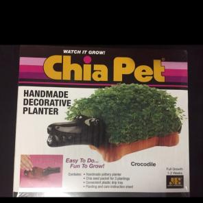 Chia Pet