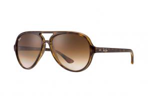 Rayban Cats 5000