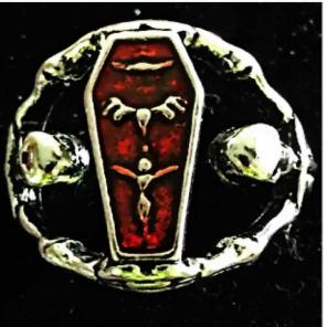 NWT! TITANIUM GOTH COFFIN/SKELETON SZ 9