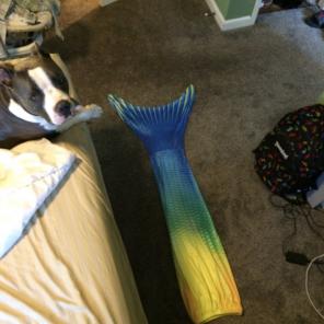 Fin Fun Mermaid Tail