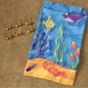 Shower curtain and hooks