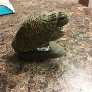 Turtle Staple