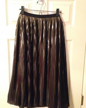 Pleated Metallic Skirt NWOT