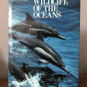 Vintage Book