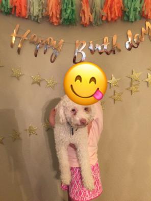 Happy Birthday Banner