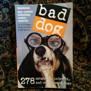 Bad Dog