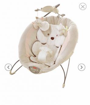Baby Bouncer