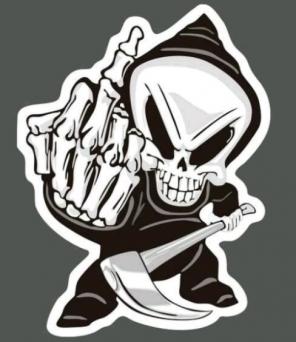 Blind skull flick off sticker decal