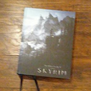 Skyrim. Game guide